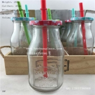 Export 300ml fruit juice drink glass bottle